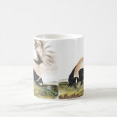 LargeTails Skunk Mephitis macroura Illustration Kaffeetasse (Mittel)