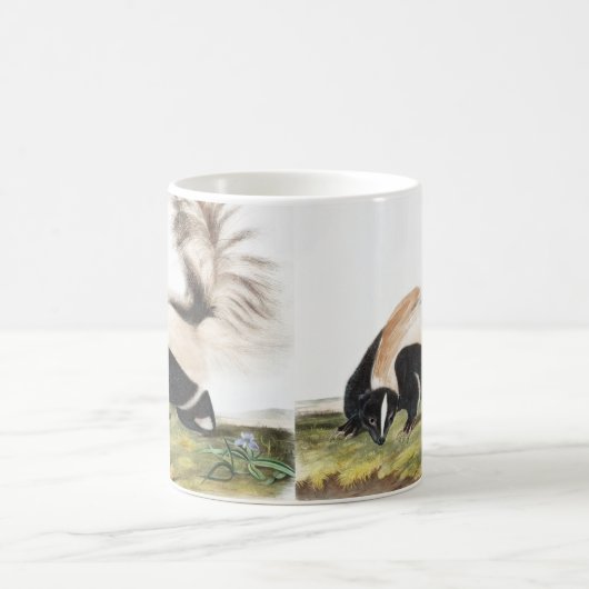 LargeTails Skunk Mephitis macroura Illustration Kaffeetasse (Mittel)
