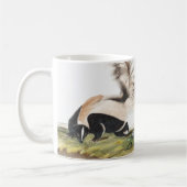 LargeTails Skunk Mephitis macroura Illustration Kaffeetasse (Links)