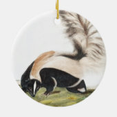 LargeTails Skunk Mephitis macroura Illustration Keramik Ornament (Hinten)