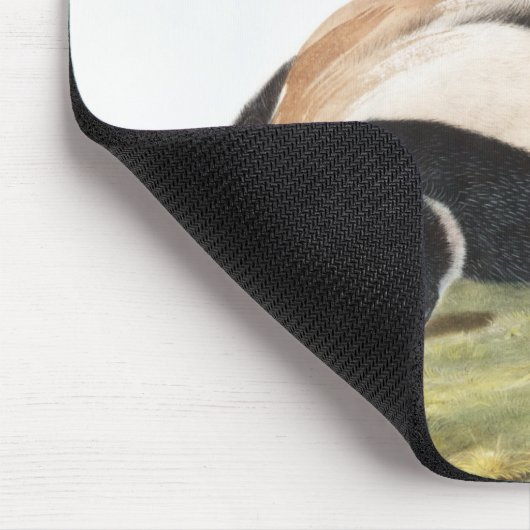 LargeTails Skunk Mephitis macroura Illustration Mousepad (Ecke)