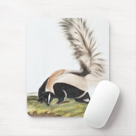 LargeTails Skunk Mephitis macroura Illustration Mousepad (Mit Mouse)
