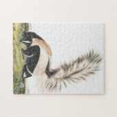 LargeTails Skunk Mephitis macroura Illustration Puzzle (Horizontal)