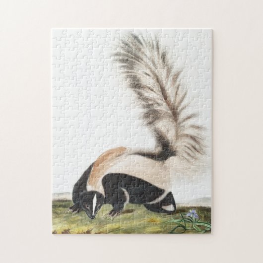 LargeTails Skunk Mephitis macroura Illustration Puzzle (Vertikal)