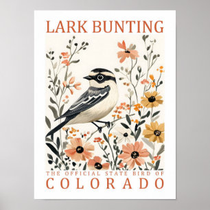 Lark Bunting Bird of Colorado USA Travel Poster