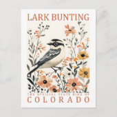 Lark Bunting Bird of Colorado USA Travel Postkarte (Vorderseite)