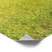 Larkspur Feld, Zaun Poster (Ecke)