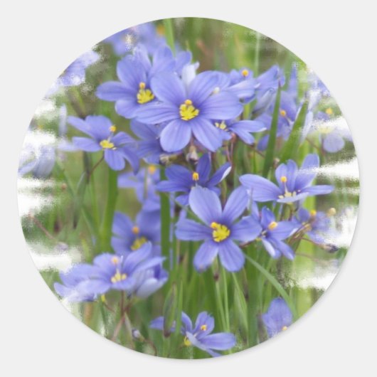 Larkspurs Runder Aufkleber (Vorderseite)