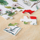 Larousse Pflanzen calmantes, emollientes, Puzzle (Seite)