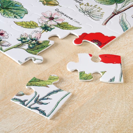 Larousse Pflanzen calmantes, emollientes, Puzzle (Seite)