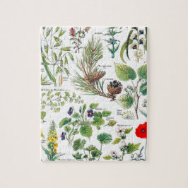 Larousse Pflanzen calmantes, emollientes, Puzzle