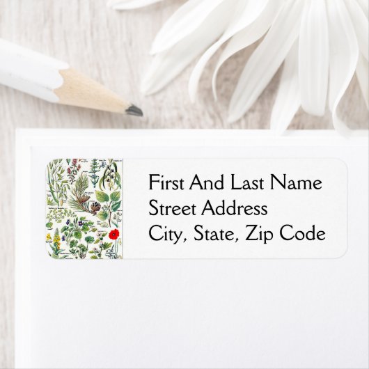 Larousse Pine Cone Forest Naturel (Insitu)