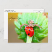 L'arrivée de la proie postkarte (Vorne/Hinten)