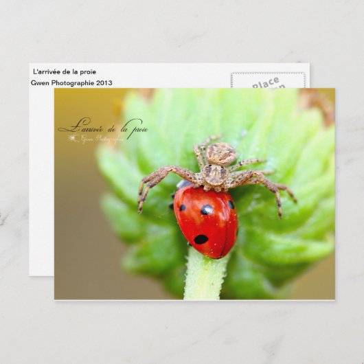 L'arrivée de la proie postkarte (Vorne/Hinten)