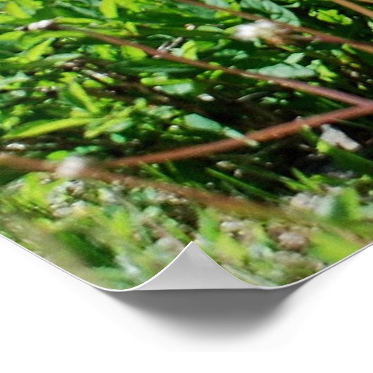 Larry Fiero Poster (Ecke)