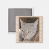 Larry Grandkitty Magnet (Vorderseite/Rückseite)