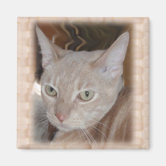 Larry Grandkitty Magnet (Vorne)