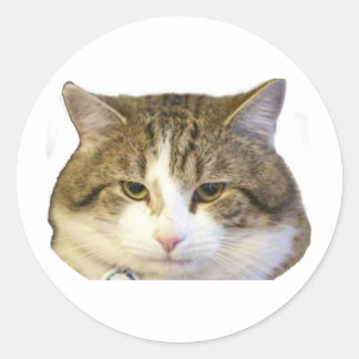 Larry the Downing Street Cat Face Runder Aufkleber