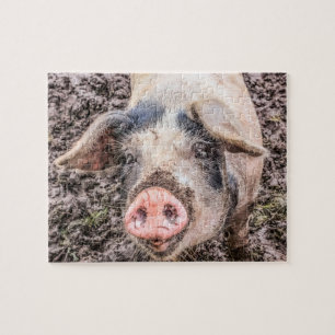 Larry the Pig Puzzle