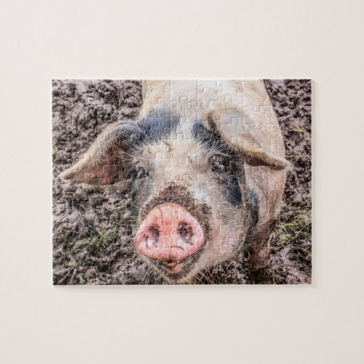 Larry the Pig Puzzle (Horizontal)