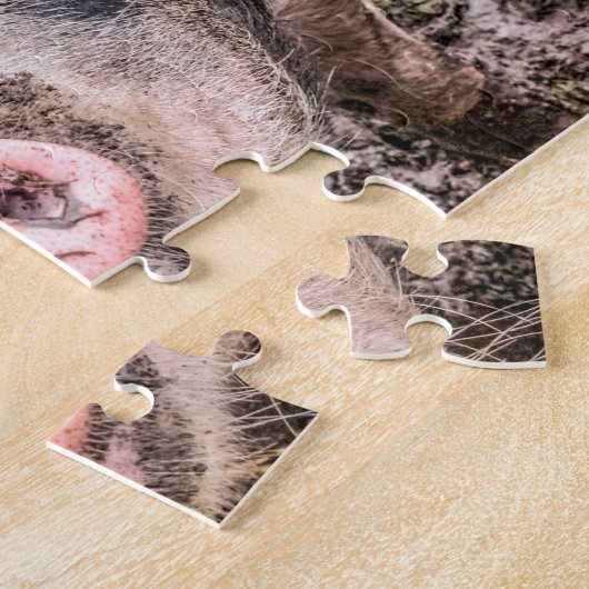Larry the Pig Puzzle (Seite)