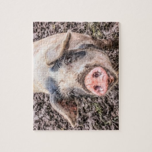Larry the Pig Puzzle (Vertikal)