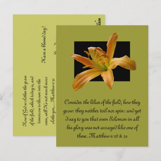 Larry's Orange Lily Postkarte (Vorne/Hinten)