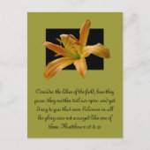 Larry's Orange Lily Postkarte (Vorderseite)