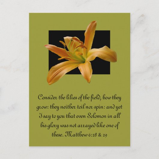 Larry's Orange Lily Postkarte (Vorderseite)