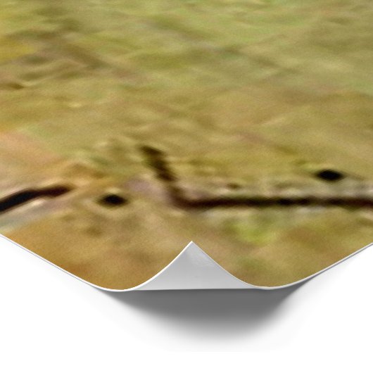 Larsson - Weihnachtsmorgen Poster (Ecke)