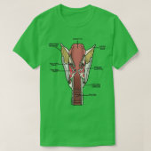 Larynxanatomie T-Shirt (Design vorne)