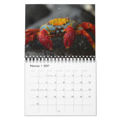 Las Encantadas Kalender (Feb 2027)