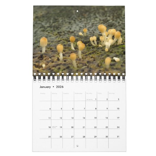 Las Encantadas Kalender (Jan 2026)