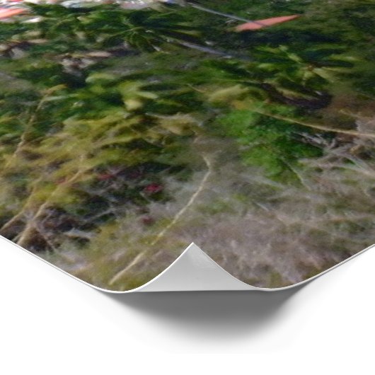 LAS GATAS POSTER (Ecke)