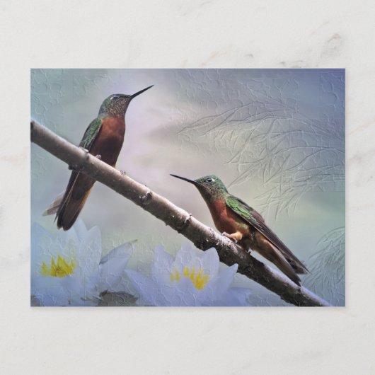 Las Gemas Postkarte (Vorderseite)