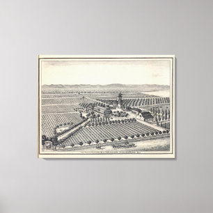 Las Palmas-Weinberg Leinwanddruck