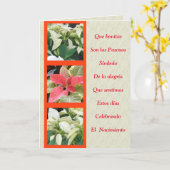 Las Pascuas son simbolo de alegria en la Navidad Karte (Gelbe Blume)