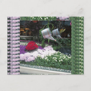 Las Vegas Butterfly Park LadyBugs Postkarte