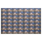 Las Vegas Fabric Stoff (Fat Quarter (45,7 x 55,9 cm))