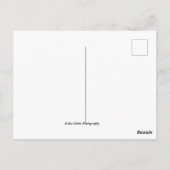 Las Vegas Skyline Postcard Postkarte (Rückseite)