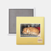 Lasagne Magnet (Vorderseite/Rückseite)