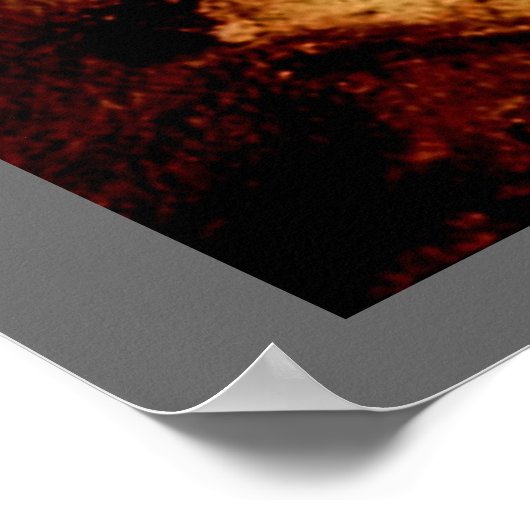 Lascaux Horse Poster (Ecke)