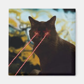 Laser Cat Magnet (Vorne)