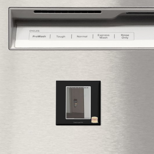 Laser Kitty Magnet (In Situ (Geschirrspüler))