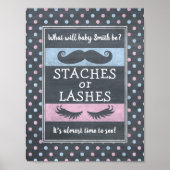 Lashes oder Staches Poster (Vorne)