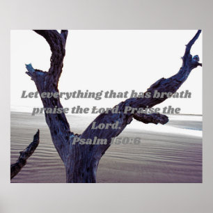 Lass alles, das Atem hat Lob für den Herrn Poster