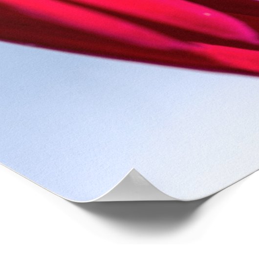 Lass Blüten SpŌ Poster (Ecke)