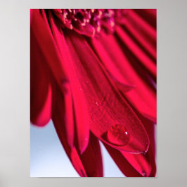 Lass Blüten SpŌ Poster