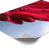 Lass Blüten SpŌ Poster (Ecke)