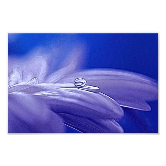 Lass Blüten Sprechen Fotodruck (Vorne)